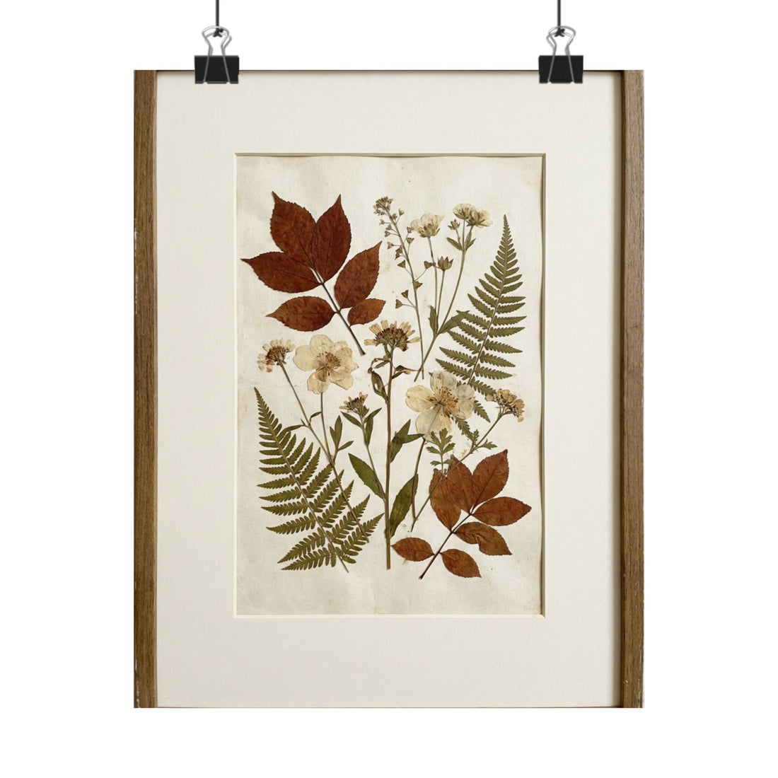 Rust Orange — Vintage Herbarium Wall Art