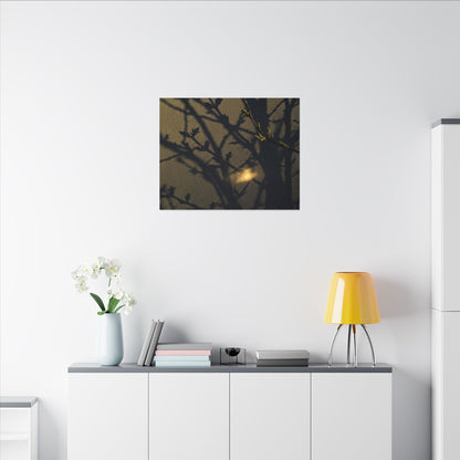 Bold Shadow Play Canvas Art - Moody Minimal Dark Japandi