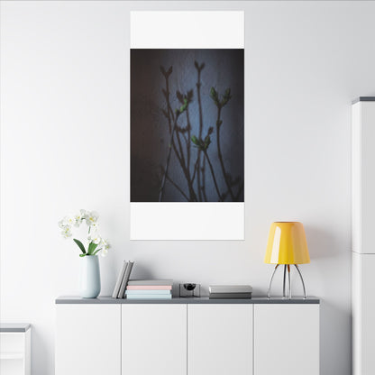 Shadow Play Spring Canvas Art | Dark Japandi Sophisticated Design