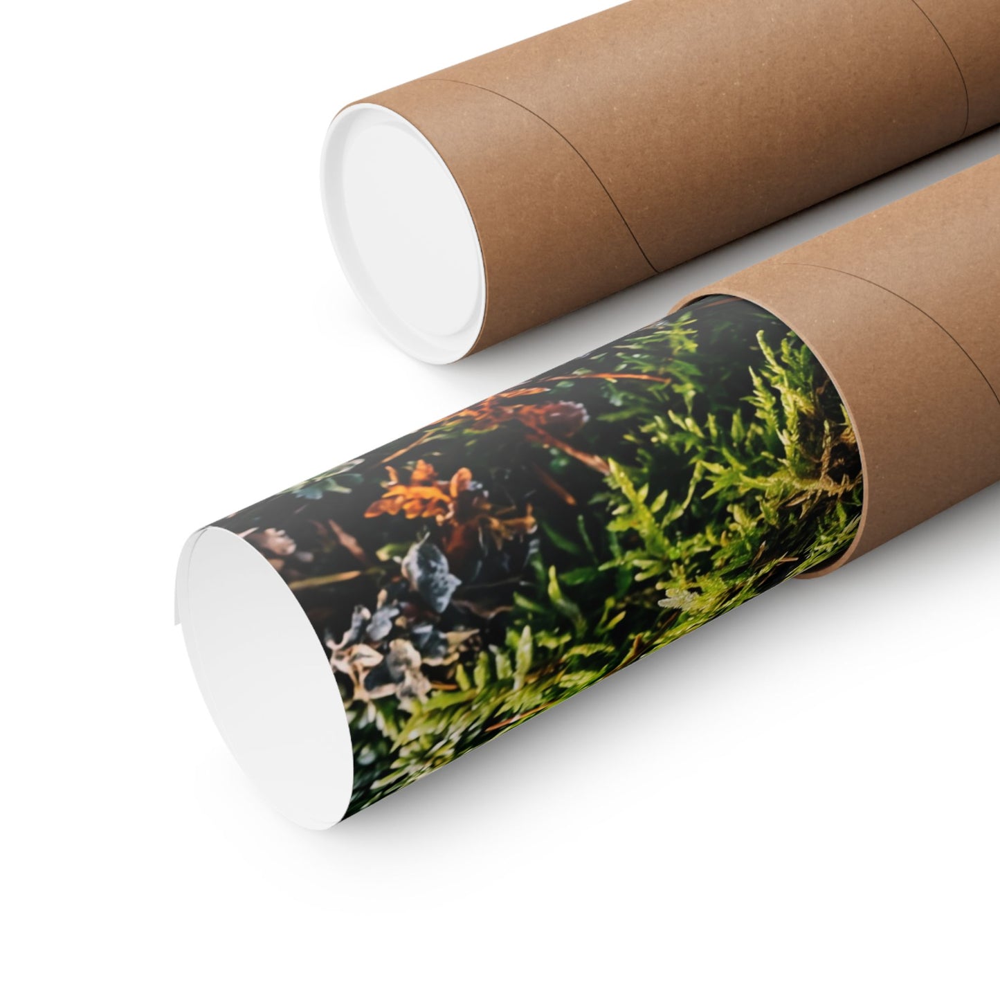 Winter Moss Close Up Gold Repair Wall Art Print | Beautiful Decor