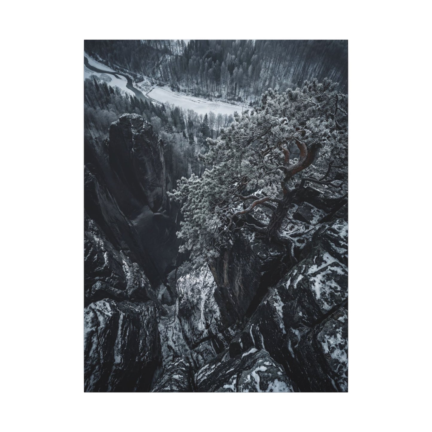 Dark Japandi Pine Tree in Dappled | Dark Texture Canvas Art