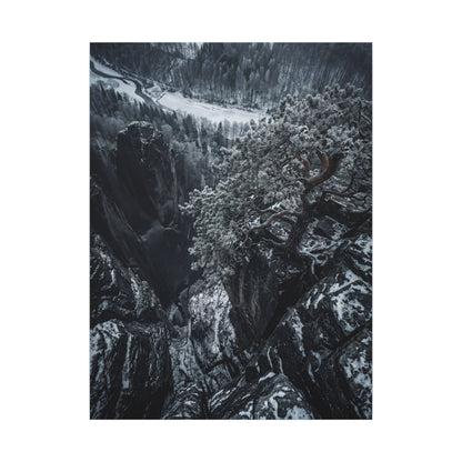 Dark Japandi Pine Tree in Dappled | Dark Texture Canvas Art
