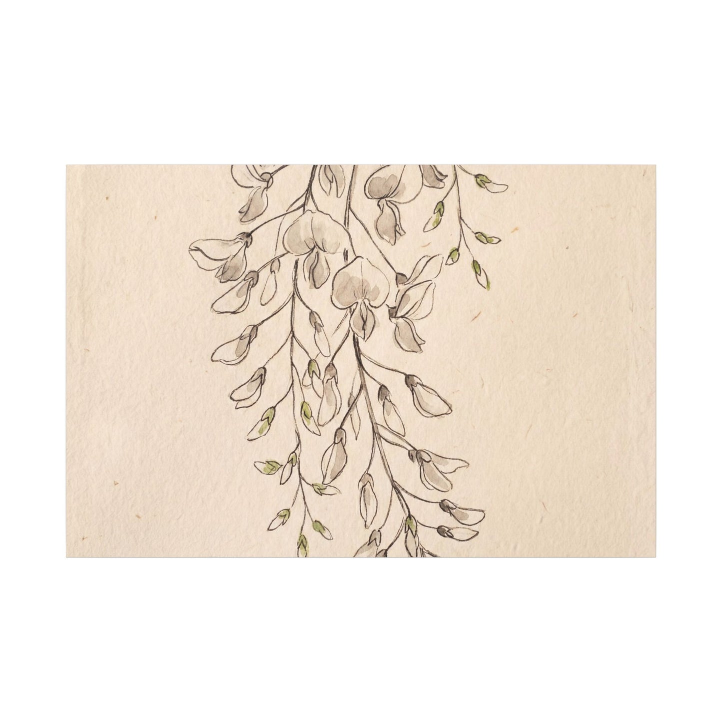 Japandi Wisteria in Golden Hour | Minimal Line Canvas Art