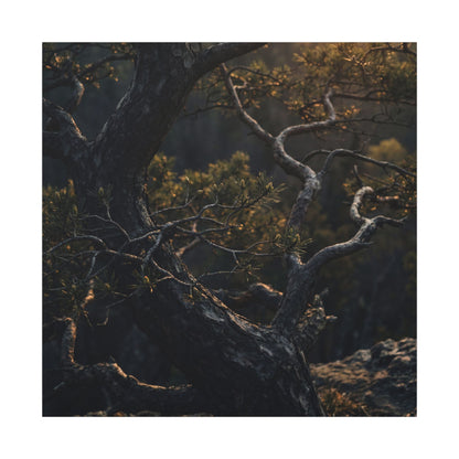 Moody Pine Tree Canvas Art - Moody Minimal Dark Japandi