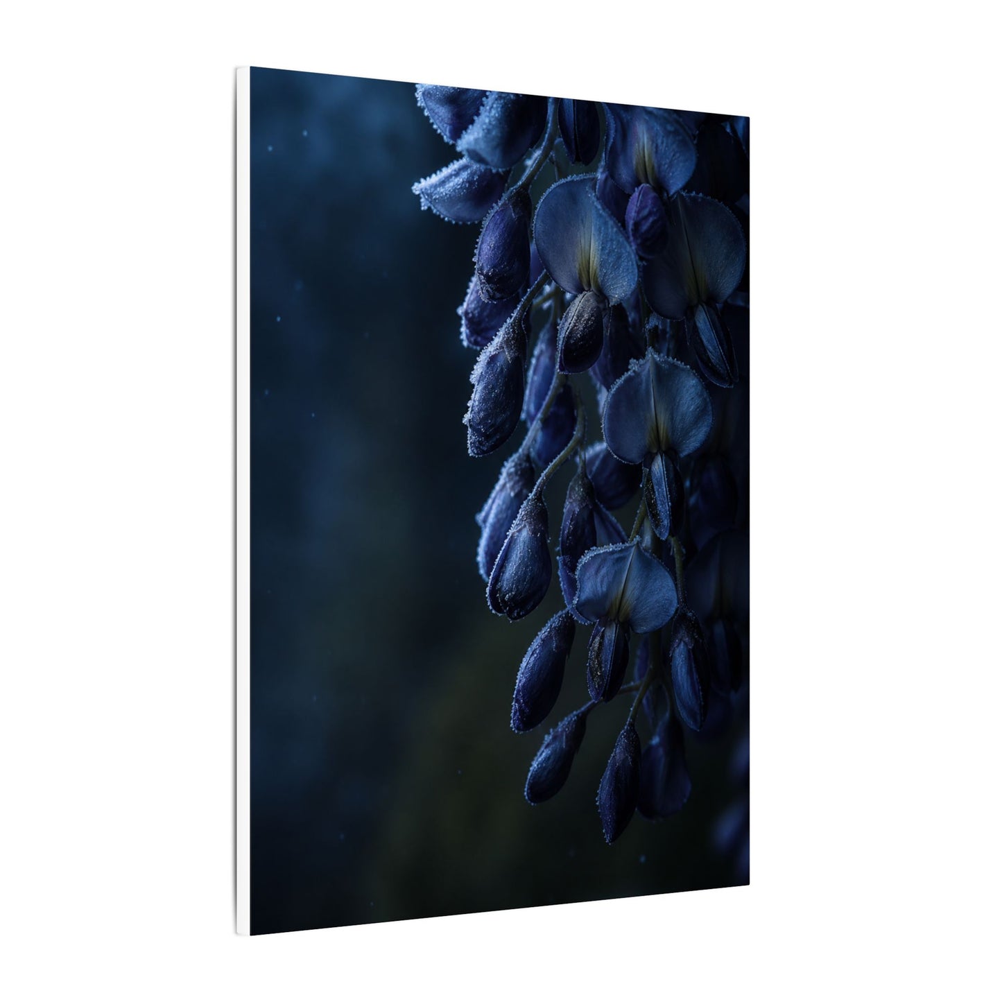 Winter Wisteria Shadow Zen Canvas Art | Atmospheric Decor