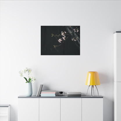Cherry Blossom Spring Canvas Art | Dark Japandi Sophisticated Design