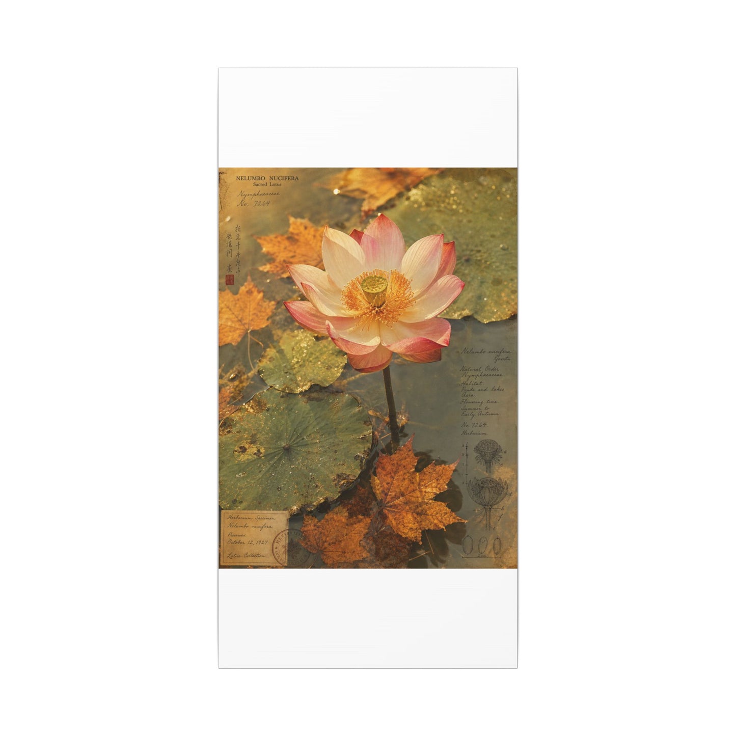 Autumn Lotus Flower Herbarium Canvas Art | Rustic Decor