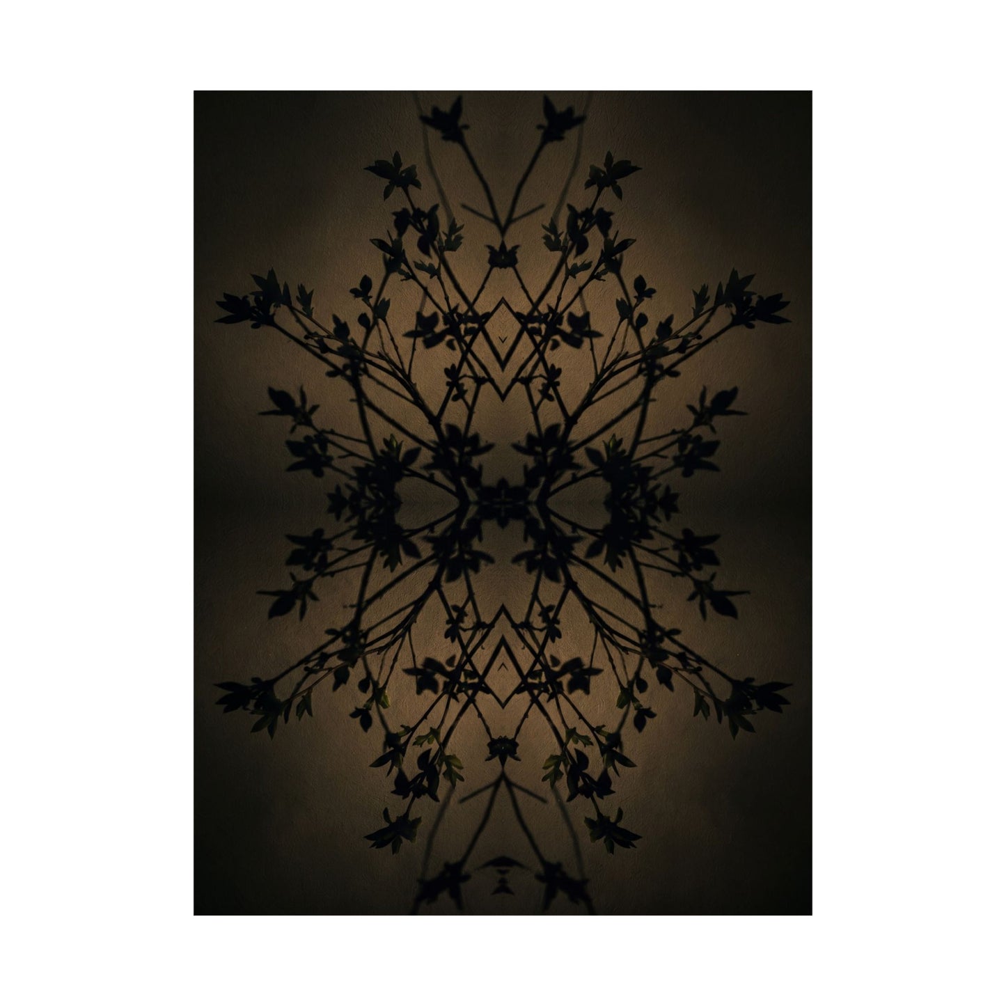 Shadow Play Wall Art Print | Spring Dark Japandi Shadow Zen Art