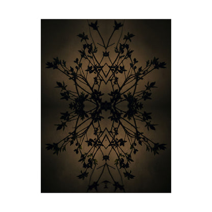 Shadow Play Wall Art Print | Spring Dark Japandi Shadow Zen Art