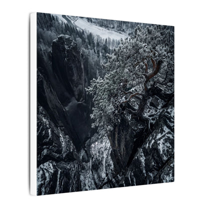 Dark Japandi Pine Tree in Dappled | Dark Texture Canvas Art