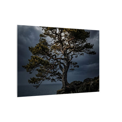 Dappled Pine Tree Canvas Art - Dark Japandi Fukinsei