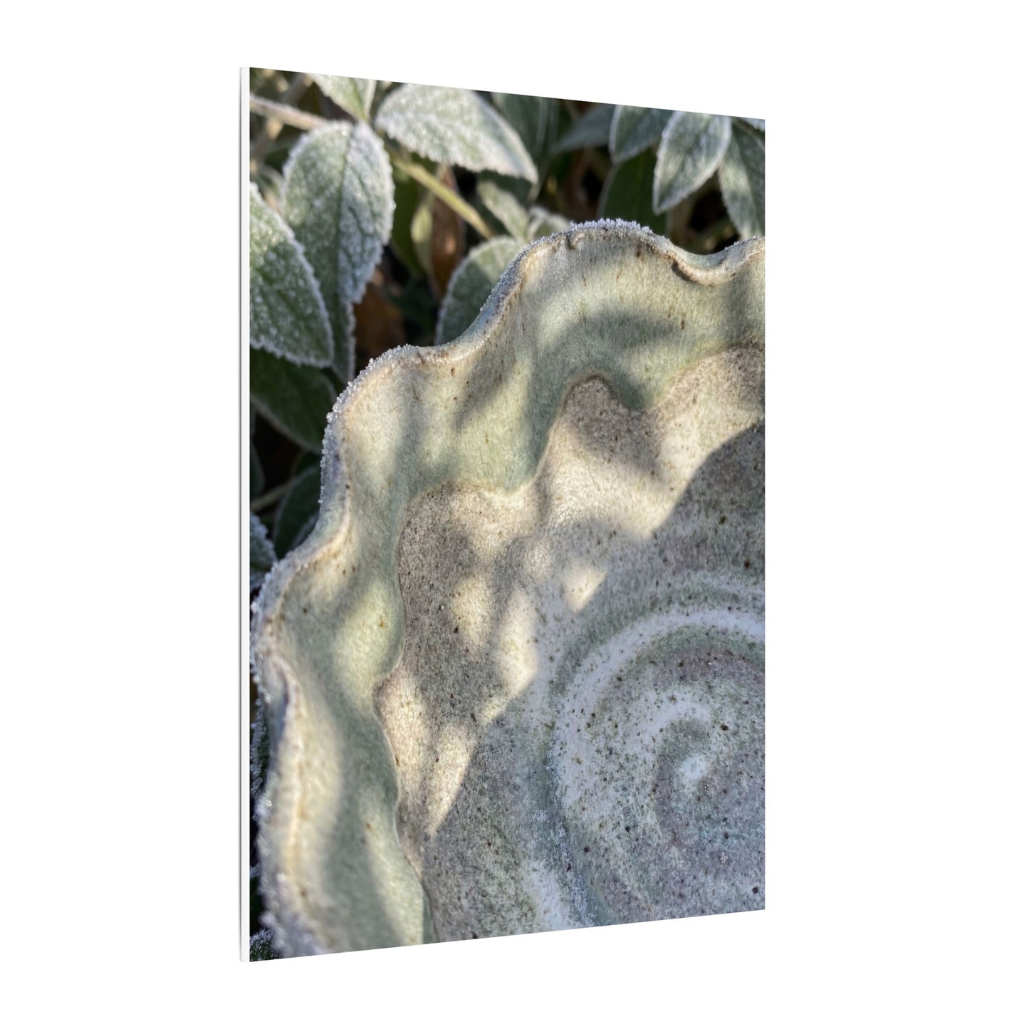 Dappled Ceramic Bowl Canvas Art - Japandi Seijaku