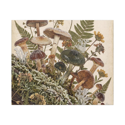 Winter Wild Mushrooms Herbarium Canvas Art | Enchanting Decor