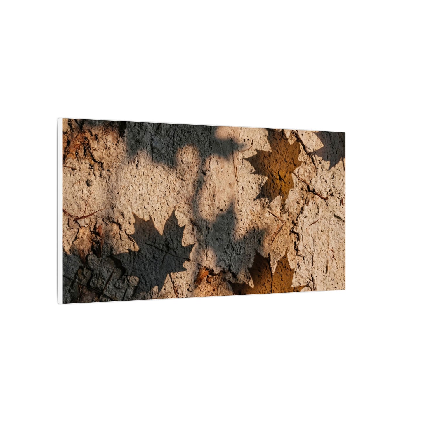 Cozy Shadow Play Canvas Art - Texture Japandi
