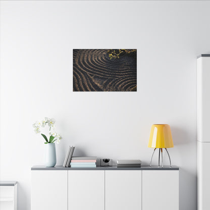 Spring Rock Garden Shadow Zen Canvas Art | Atmospheric Decor