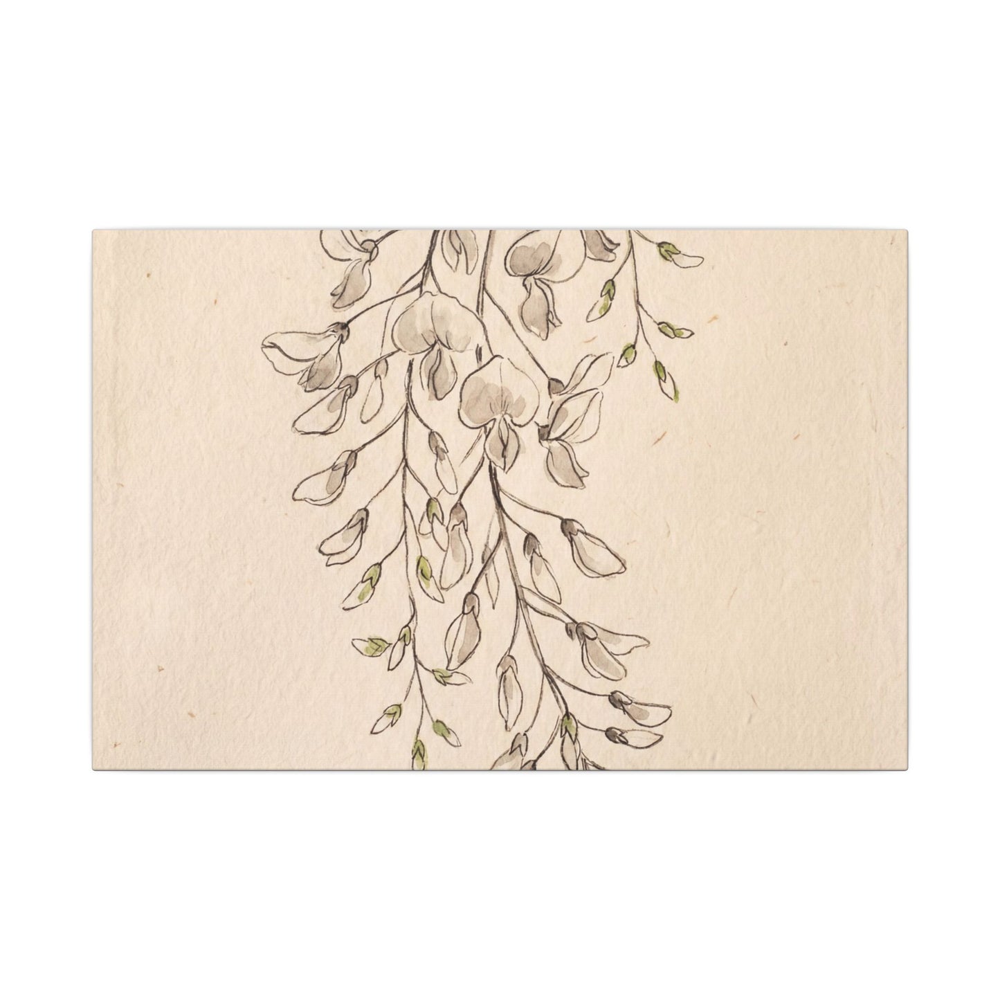 Japandi Wisteria in Golden Hour | Minimal Line Canvas Art