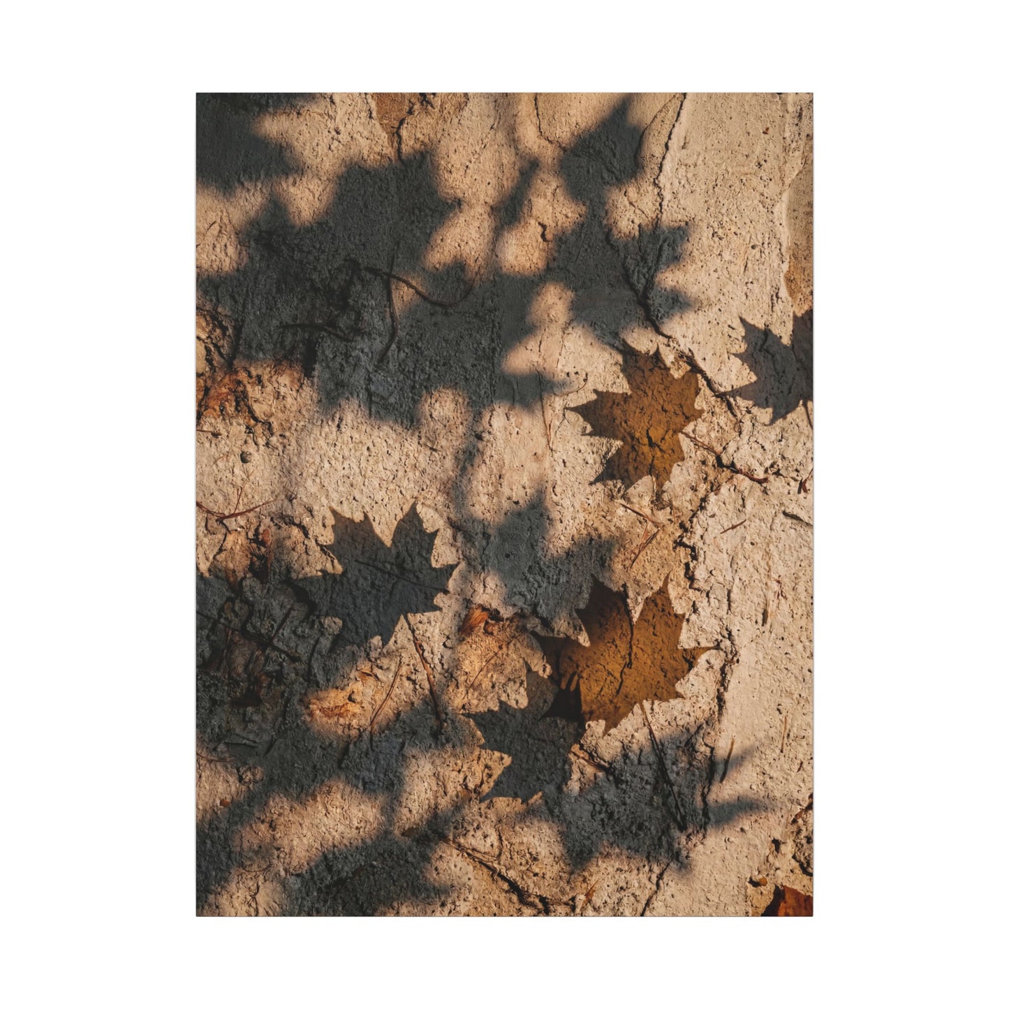 Cozy Shadow Play Canvas Art - Texture Japandi