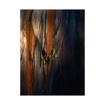 Rust Patina Spring Wall Art Print | Dark Japandi Sophisticated Design
