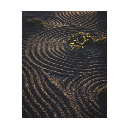 Spring Rock Garden Shadow Zen Canvas Art | Atmospheric Decor