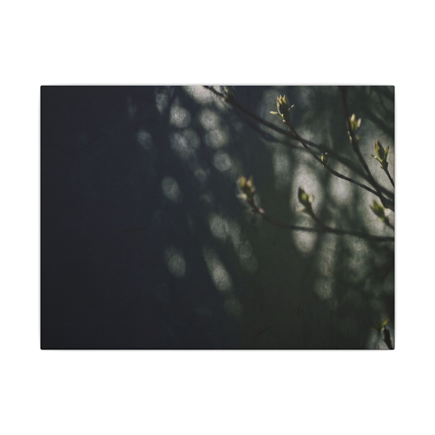 Dark Japandi Shoji Screen in Dappled | Moody Minimal Canvas Art Art Print