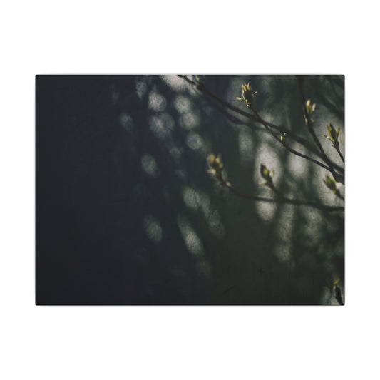 Dark Japandi Shoji Screen in Dappled | Moody Minimal Canvas Art Art Print