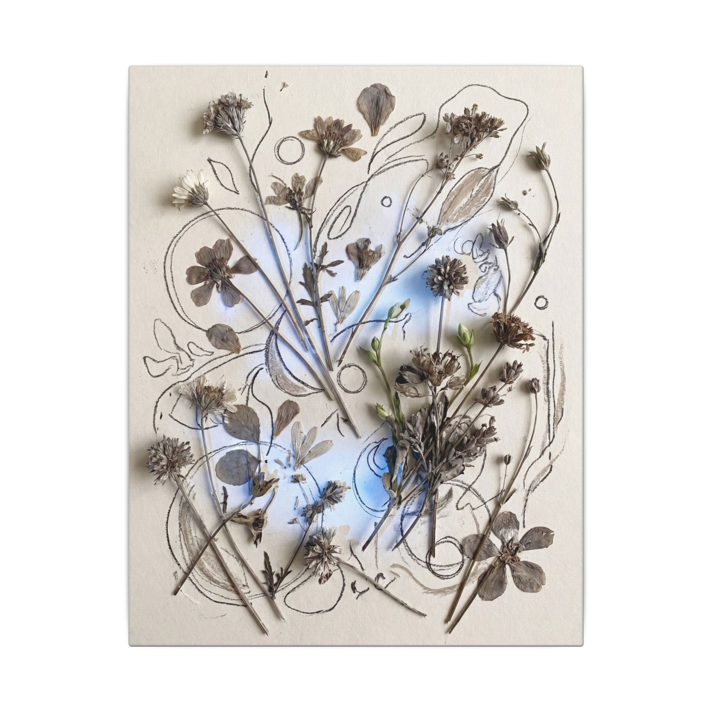 Dried Flowers Minimal Line Canvas Art | Elegant Japandi Art