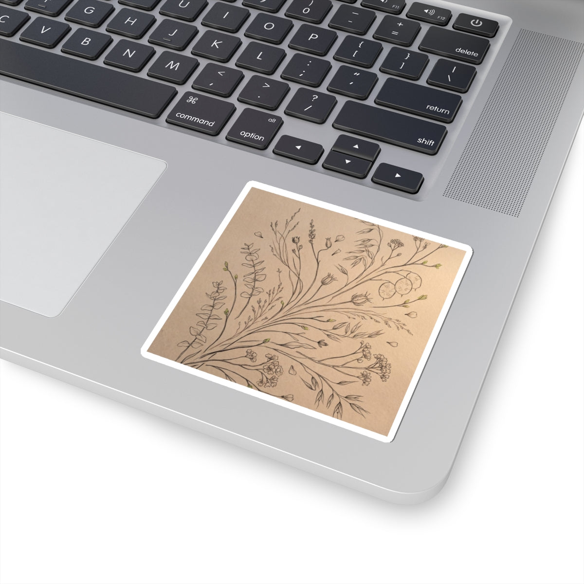 Dried Flowers Sticker | Spring Japandi Minimal Line Art Art Print