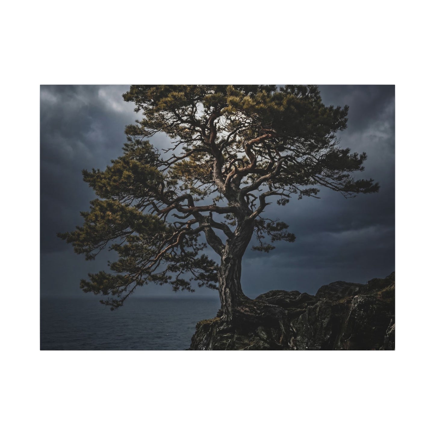 Dappled Pine Tree Canvas Art - Dark Japandi Fukinsei Art Print