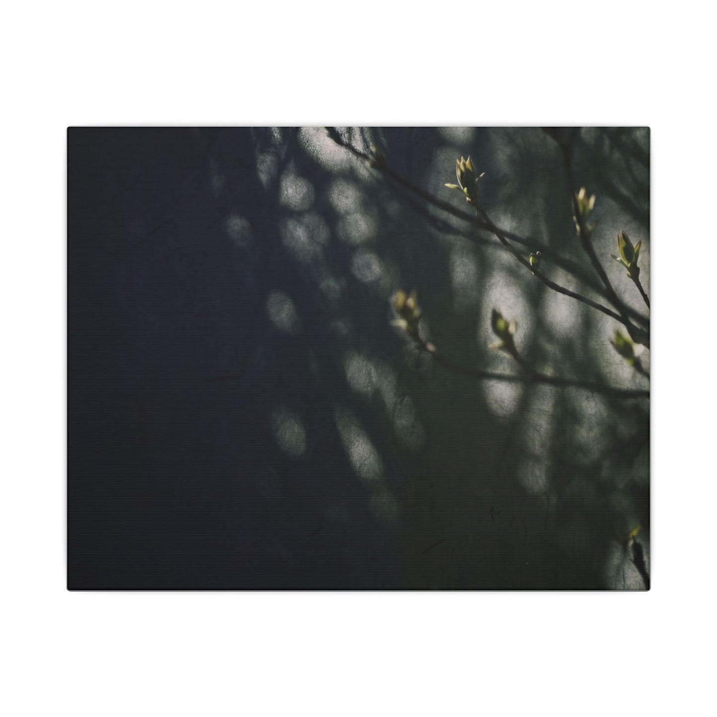 Dark Japandi Shoji Screen in Dappled | Moody Minimal Canvas Art