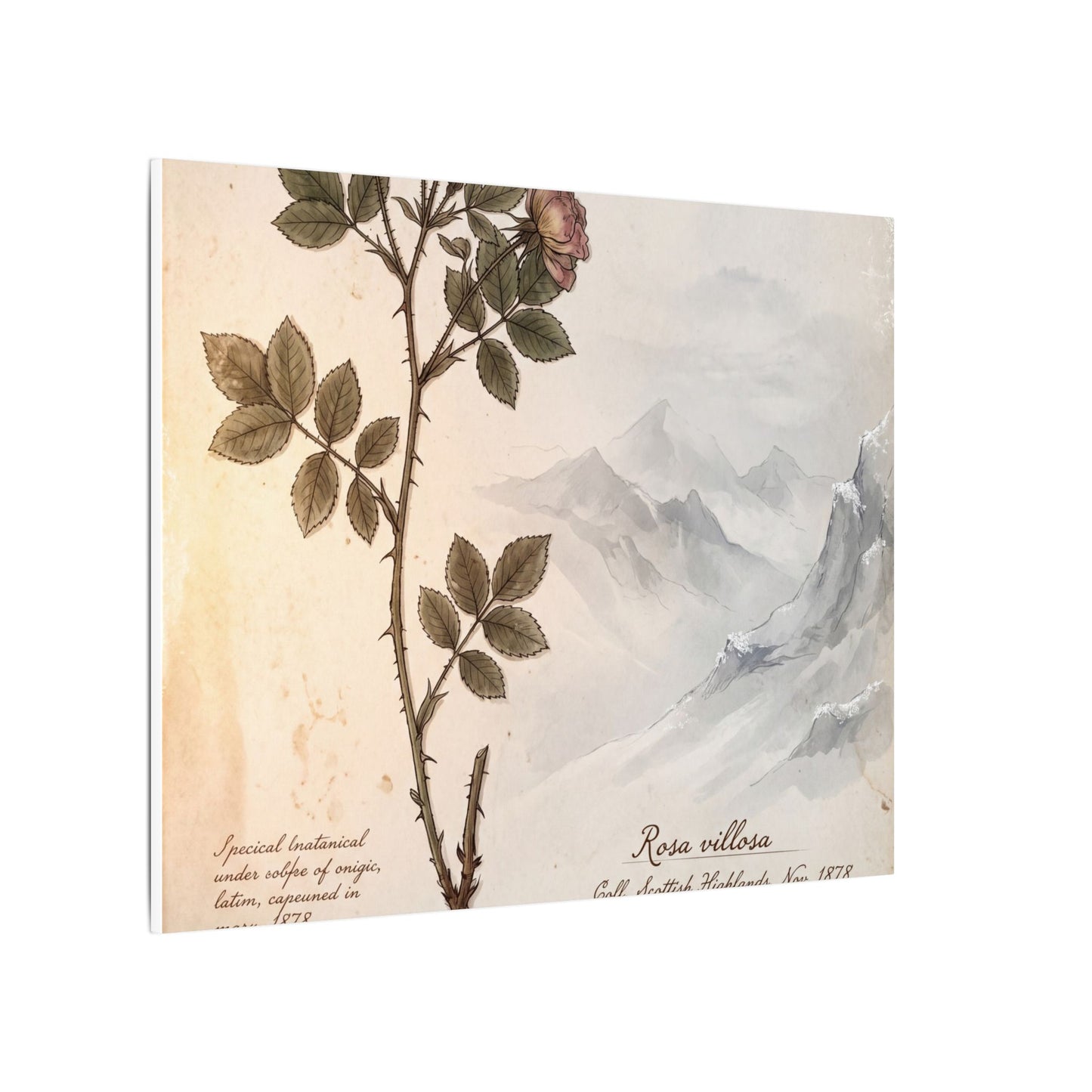 Winter Mountain Mist Herbarium Canvas Art | Earthy Decor