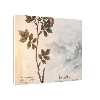 Winter Mountain Mist Herbarium Canvas Art | Earthy Decor