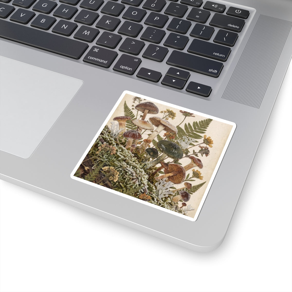 Winter Wild Mushrooms Herbarium Sticker | Rustic Decor
