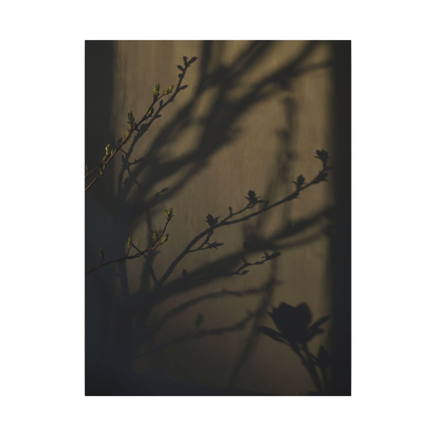 Seijaku Shadow Play Canvas Art - Dark Japandi Charcoal Ink