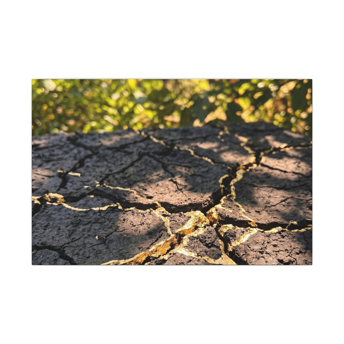 Shibui Cracked Earth Canvas Art - Kintsugi Gold Repair