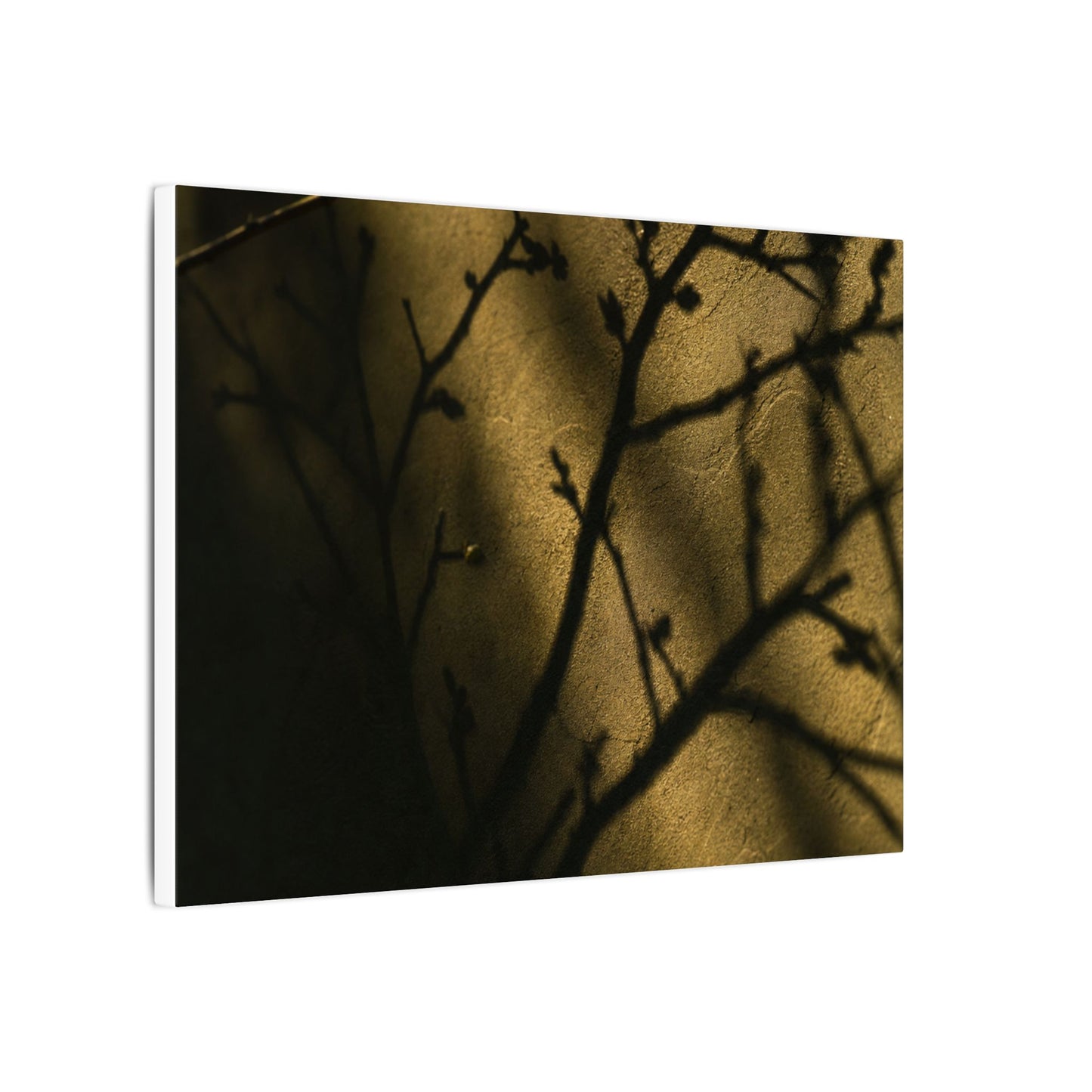 Golden Hour Shadow Play Canvas Art - Dark Japandi Seijaku