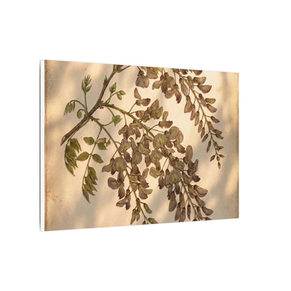 Spring Wisteria Herbarium Canvas Art | Earthy Decor