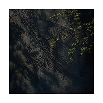 Dark Japandi Shadow Play in Overcast | Moody Minimal Wall Art Print