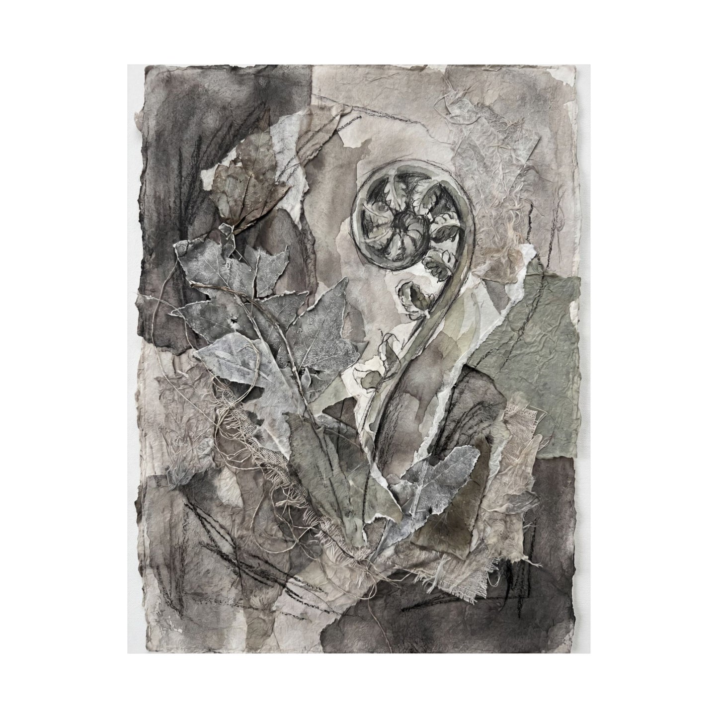 Mono No Aware Fern Unfurling Wall Art Print - Japandi Texture