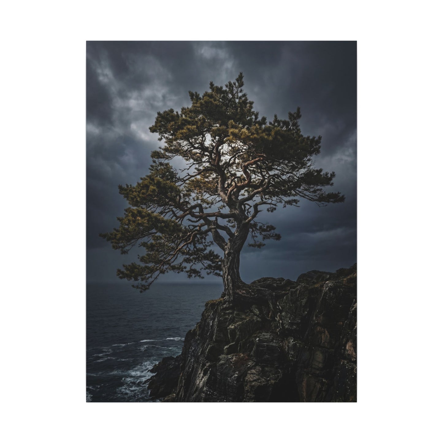 Dappled Pine Tree Canvas Art - Dark Japandi Fukinsei