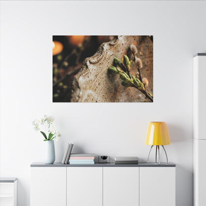 Overcast Ceramic Bowl Canvas Art - Japandi Ma