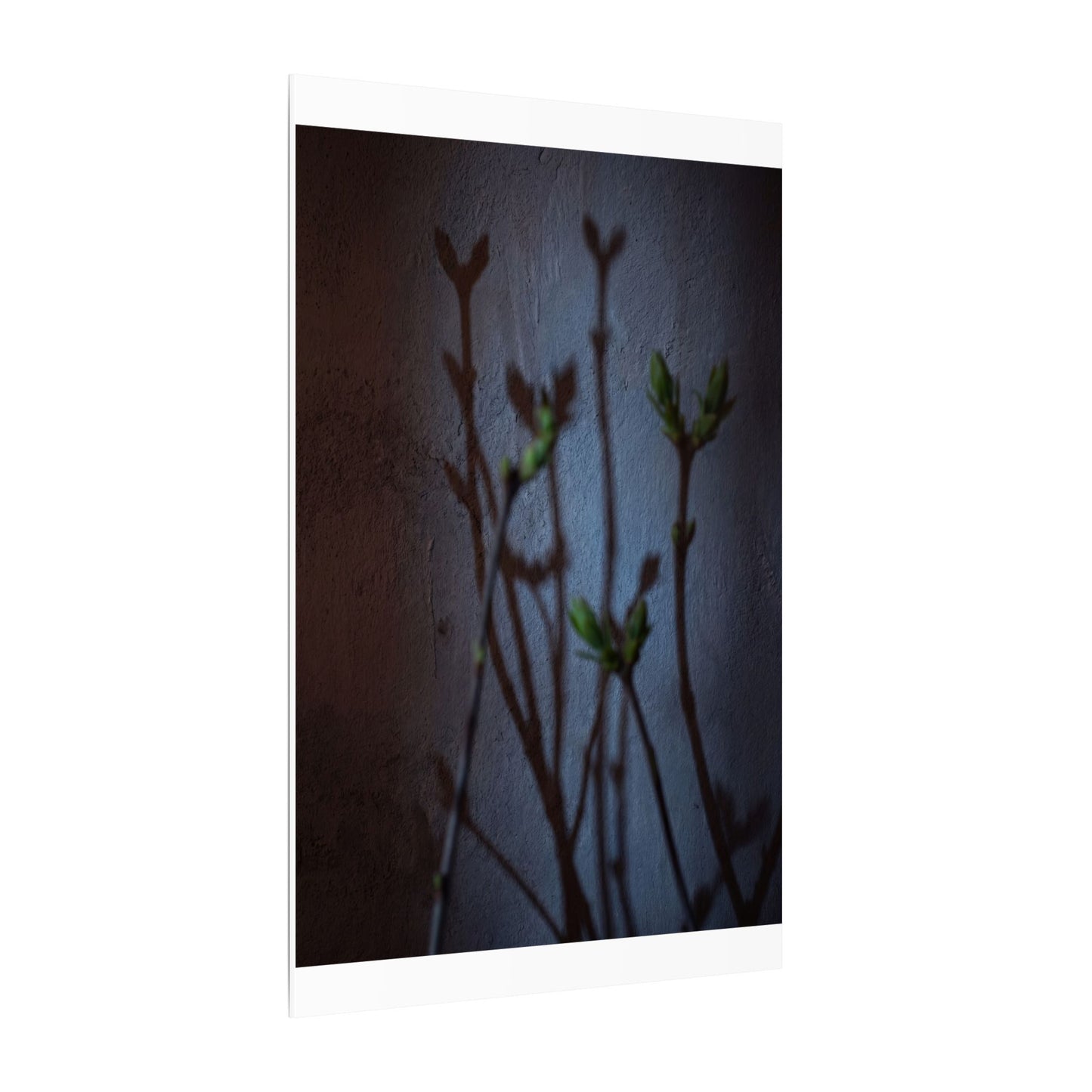 Shadow Play Spring Canvas Art | Dark Japandi Sophisticated Design