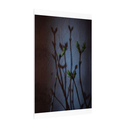 Shadow Play Spring Canvas Art | Dark Japandi Sophisticated Design