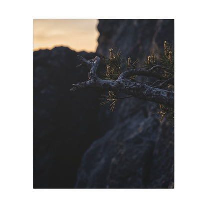 Pine Tree Moody Minimal Canvas Art | Sophisticated Dark Japandi Art