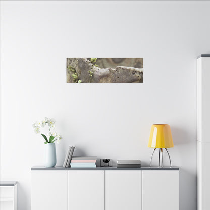 Overcast Ceramic Bowl Canvas Art - Japandi Fukinsei