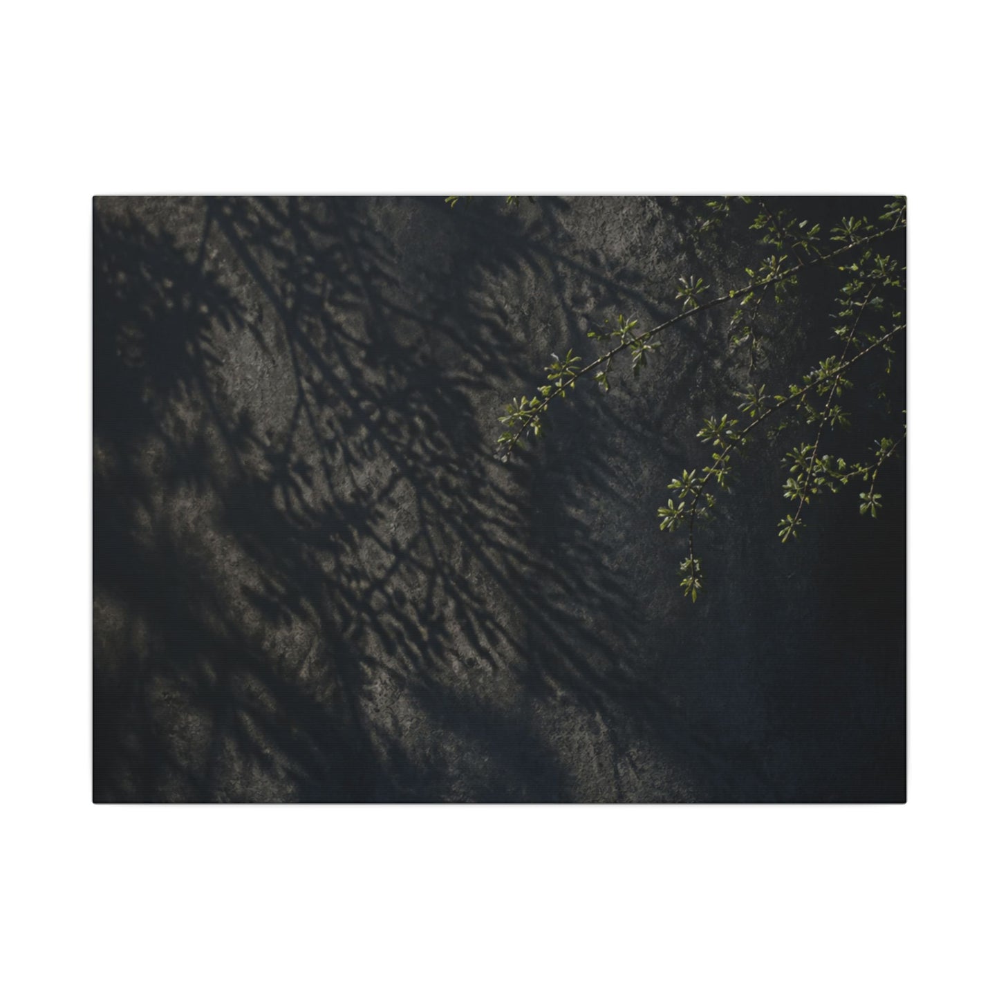 Overcast Shadow Play Canvas Art - Dark Japandi Seijaku