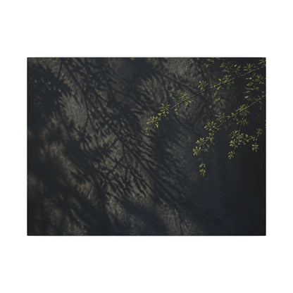 Overcast Shadow Play Canvas Art - Dark Japandi Seijaku
