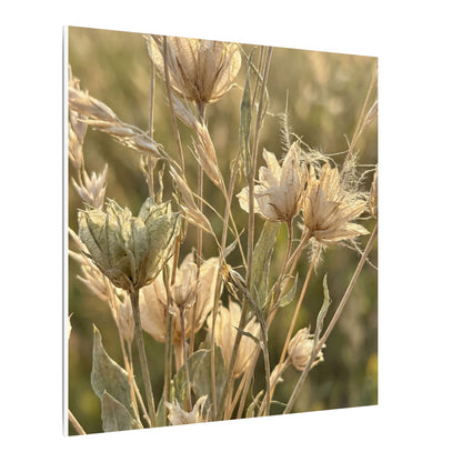 Summer Dried Flowers Minimal Line Canvas Art | Cozy Decor