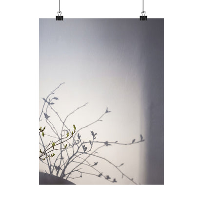 Japandi Shadow Play in Dawn | Japanese Pattern Wall Art Print