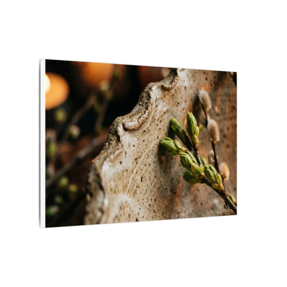Overcast Ceramic Bowl Canvas Art - Japandi Ma