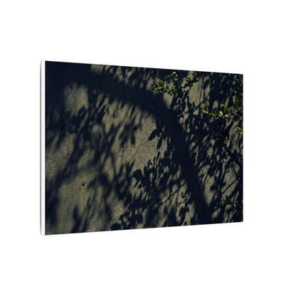 Atmospheric Shadow Play Canvas Art - Moody Minimal Dark Japandi